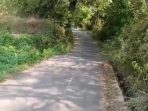 lahan